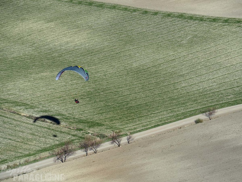 FA2.19_Algodonales-Paragliding-1558.jpg