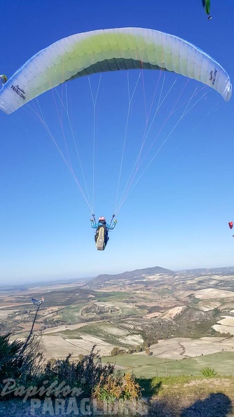 FA2.19 Algodonales-Paragliding-1567
