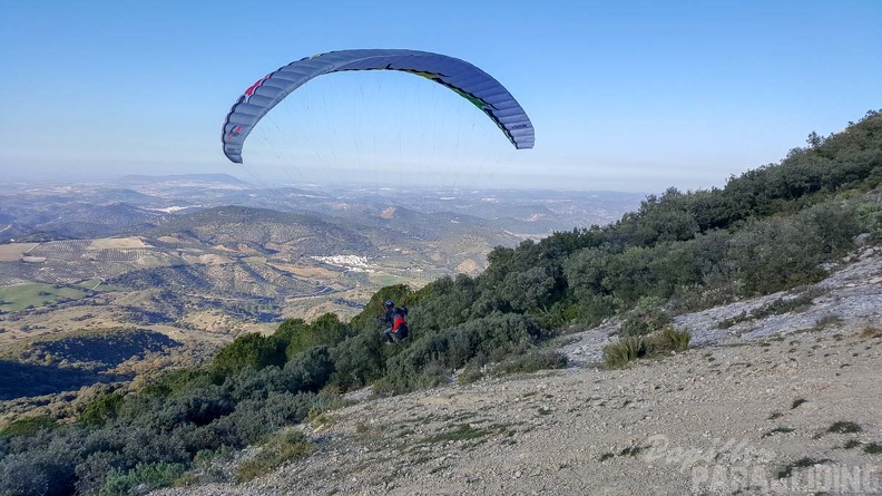 FA2.19 Algodonales-Paragliding-1623