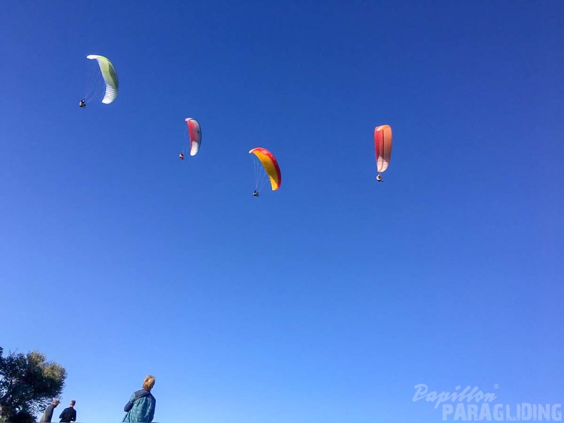 FA2.19 Algodonales-Paragliding-1646