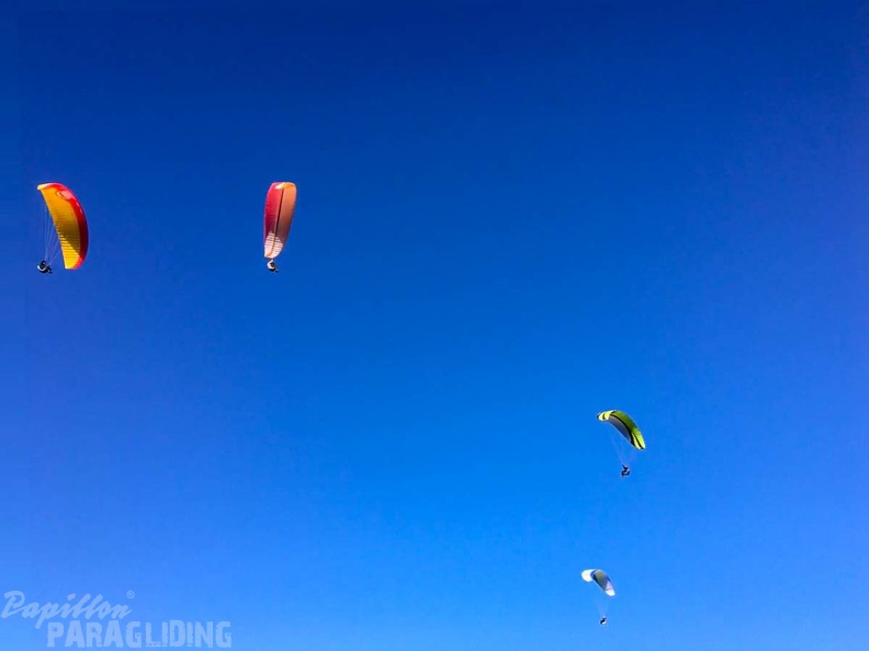 FA2.19_Algodonales-Paragliding-1647.jpg