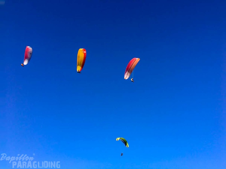 FA2.19 Algodonales-Paragliding-1648