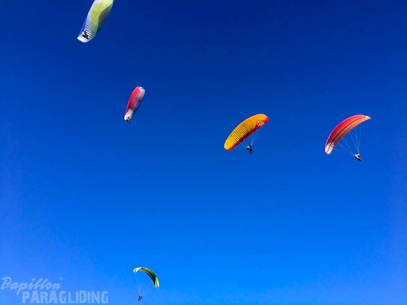 FA2.19 Algodonales-Paragliding-1649