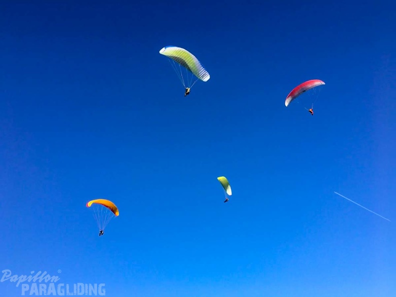 FA2.19 Algodonales-Paragliding-1651