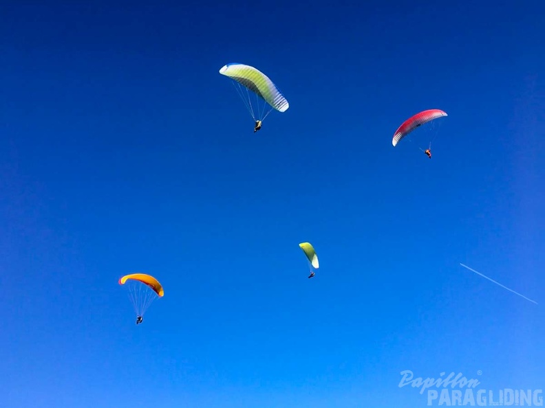 FA2.19 Algodonales-Paragliding-1651