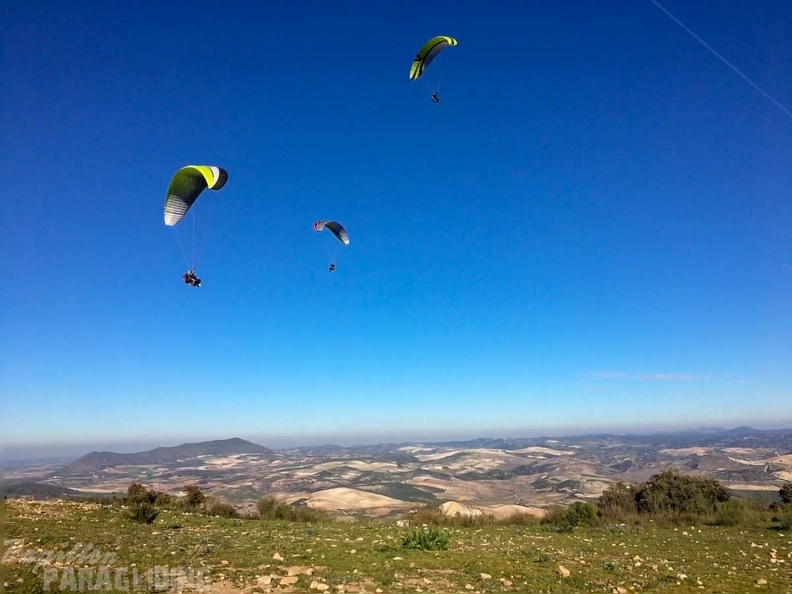 FA2.19 Algodonales-Paragliding-1655