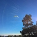 FA2.19 Algodonales-Paragliding-1680