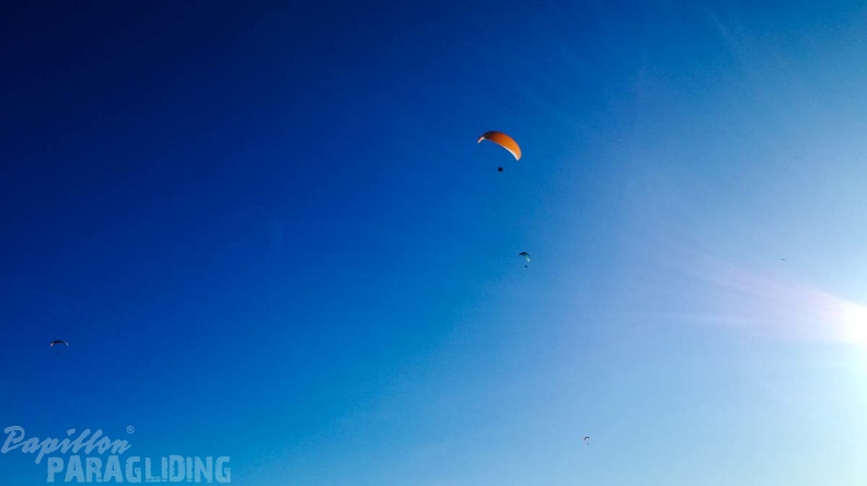 FA45.19 Algodonales-Paragliding-156