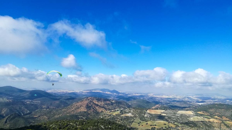 FA46.19_Algodonales-Paragliding-111.jpg