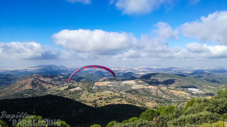 FA46.19_Algodonales-Paragliding-114.jpg