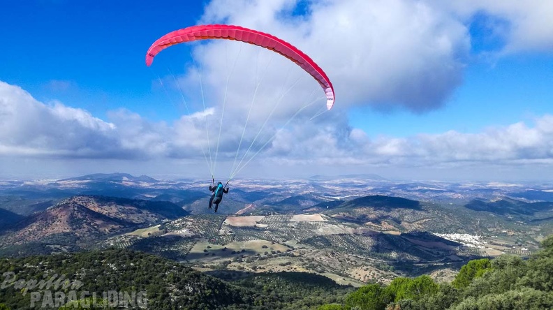 FA46.19_Algodonales-Paragliding-115.jpg