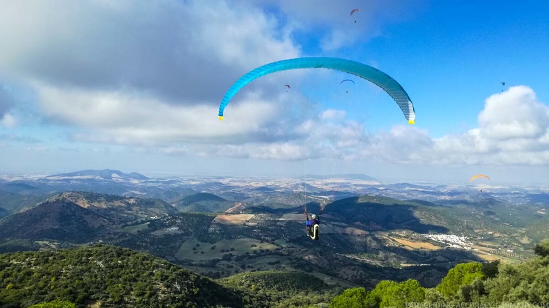 FA46.19 Algodonales-Paragliding-120