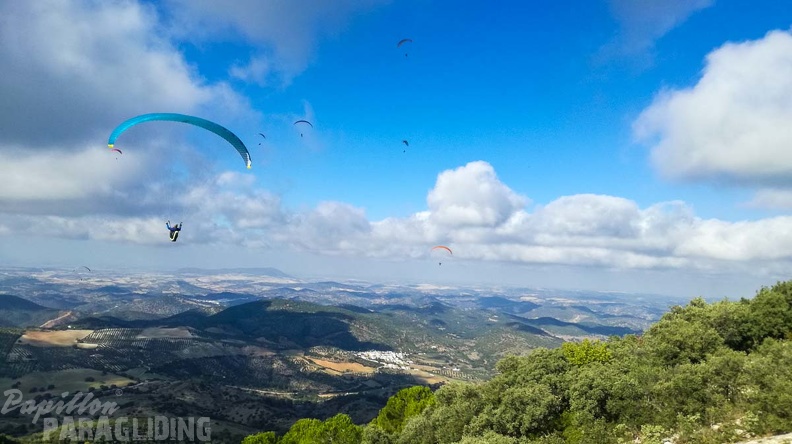 FA46.19_Algodonales-Paragliding-121.jpg
