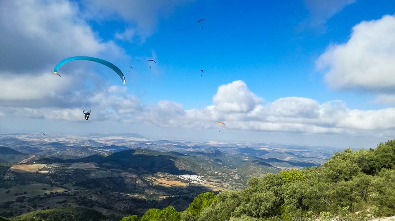 FA46.19 Algodonales-Paragliding-121