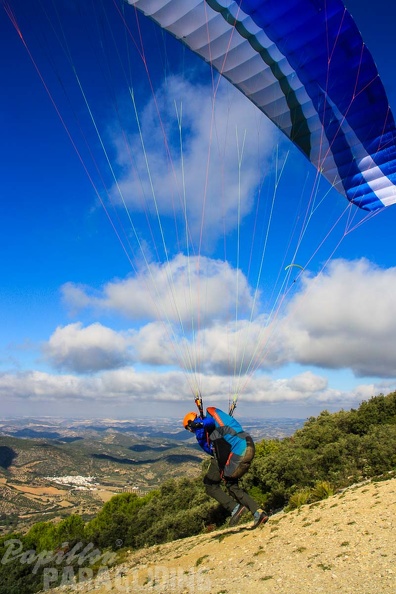 FA46.19_Algodonales-Paragliding-122.jpg