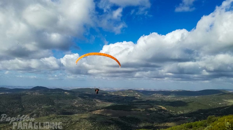 FA46.19_Algodonales-Paragliding-277.jpg