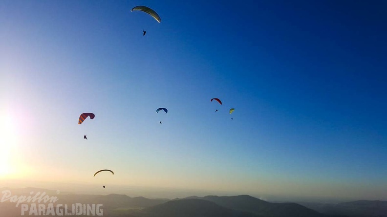 FA46.19_Algodonales-Paragliding-343.jpg