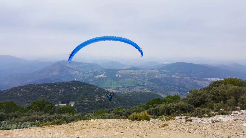 FA1.20 Algodonales-Paragliding-534