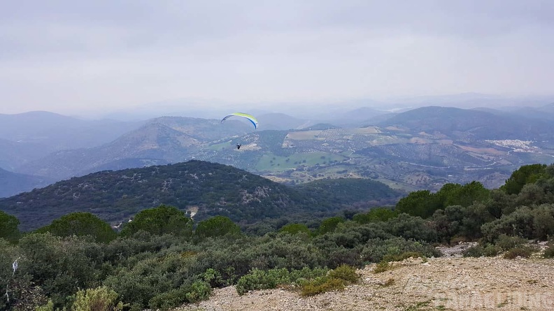 FA1.20 Algodonales-Paragliding-535