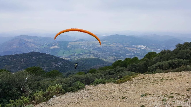FA1.20 Algodonales-Paragliding-536