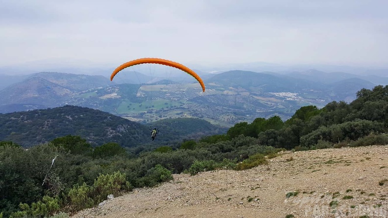 FA1.20 Algodonales-Paragliding-536