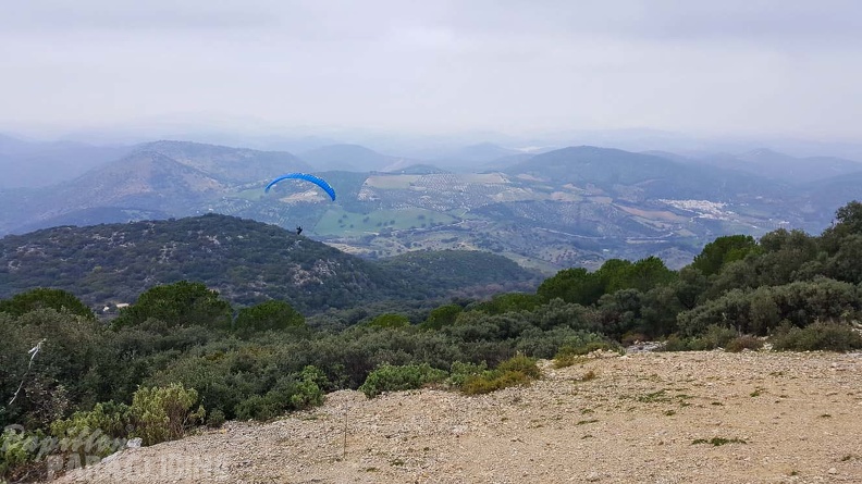 FA1.20 Algodonales-Paragliding-539
