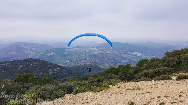 FA1.20_Algodonales-Paragliding-540.jpg