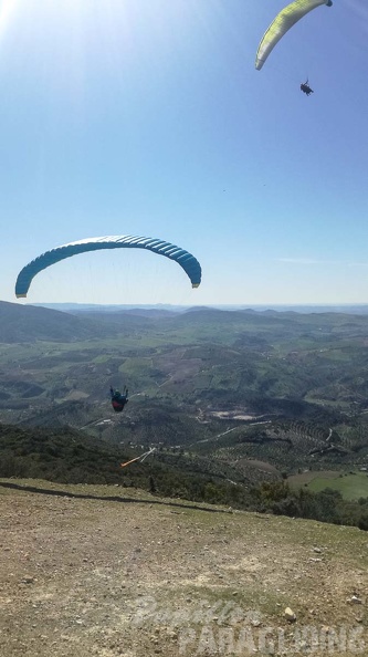 FA11.20 Algodonales-Paragliding-121