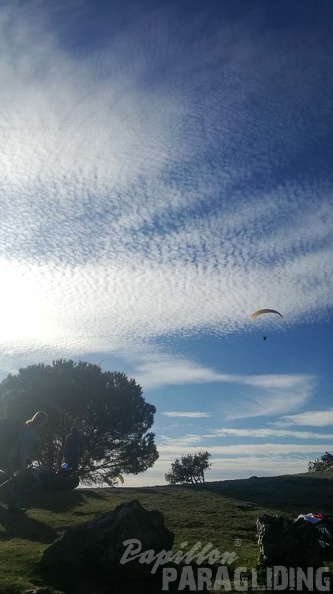 FA11.20 Algodonales-Paragliding-132