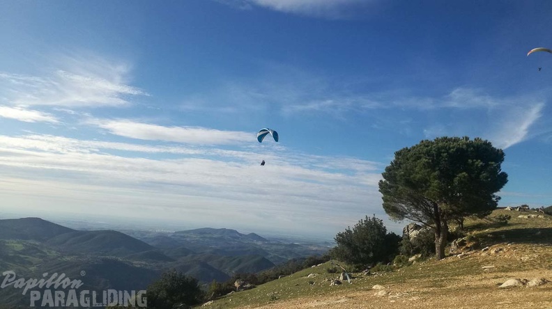 FA11.20 Algodonales-Paragliding-139