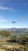 FA11.20 Algodonales-Paragliding-293