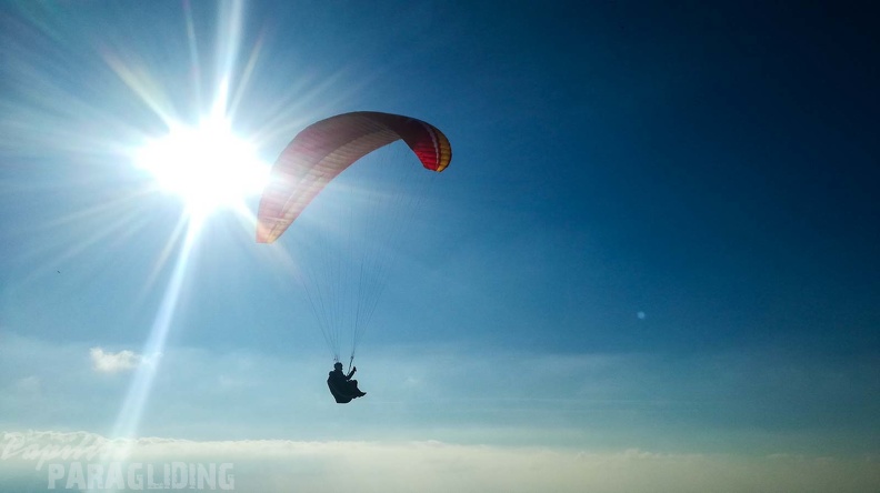 FA2.20_Algodonales-Paragliding-241.jpg