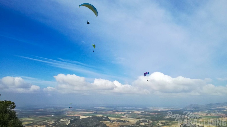 FA2.20_Algodonales-Paragliding-264.jpg