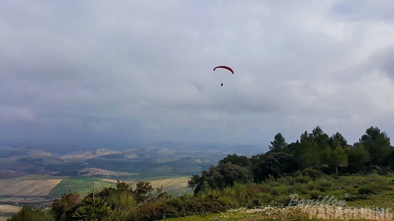 FA2.20_Algodonales-Paragliding-315.jpg