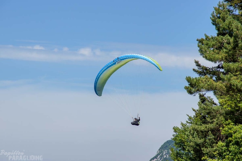 Annecy Papillon-Paragliding-143