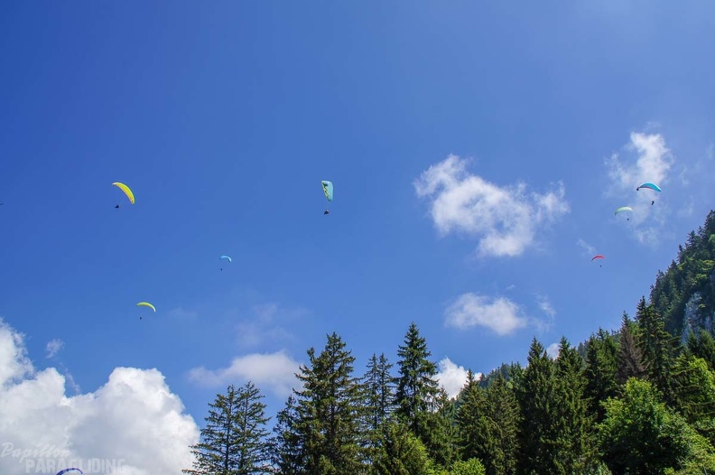 Annecy Papillon-Paragliding-175