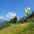 Annecy Papillon-Paragliding-239