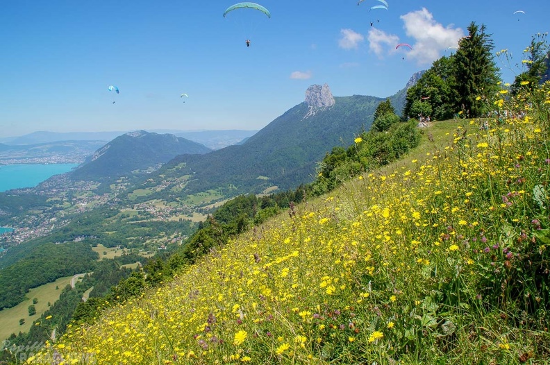 Annecy_Papillon-Paragliding-264.jpg