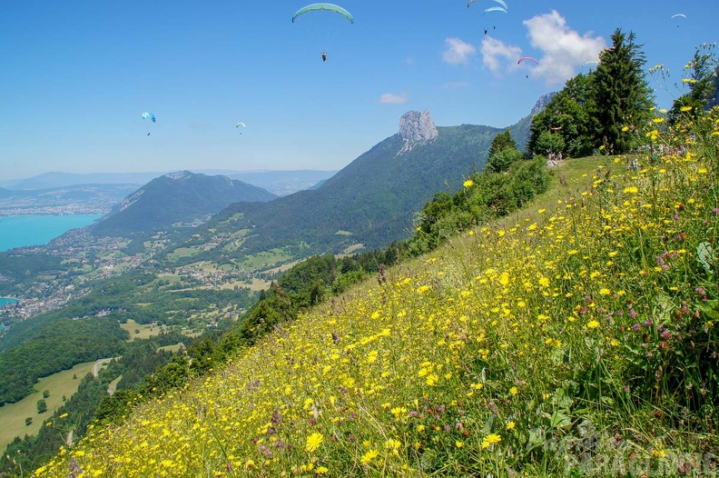 Annecy Papillon-Paragliding-264