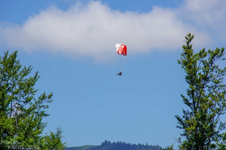 Annecy Papillon-Paragliding-272