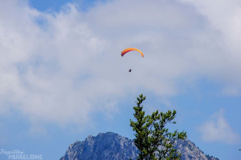 Annecy Papillon-Paragliding-289