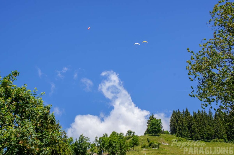 Annecy Papillon-Paragliding-322