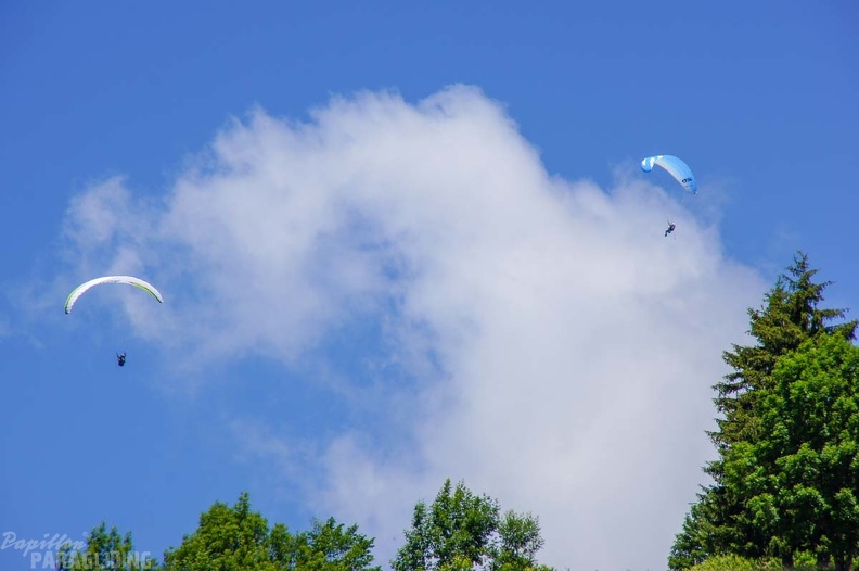 Annecy Papillon-Paragliding-326
