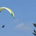 Annecy Papillon-Paragliding-373