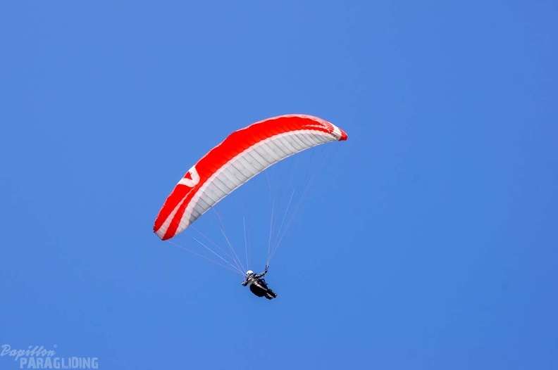 Annecy Papillon-Paragliding-382