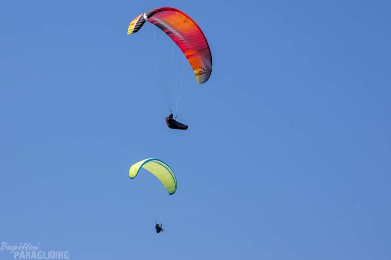 Annecy Papillon-Paragliding-436