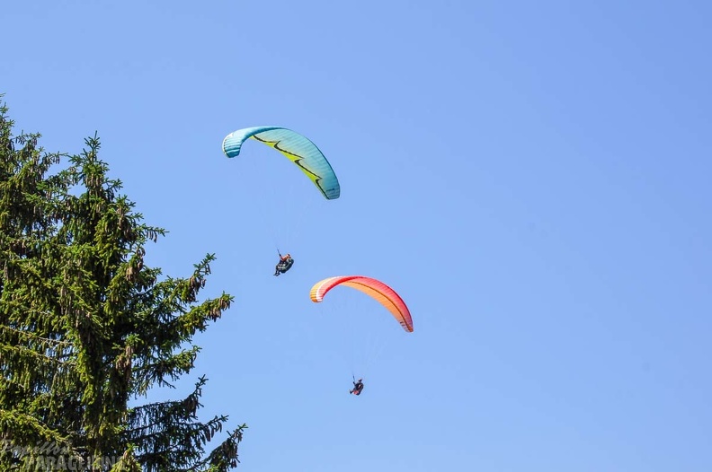 Annecy_Papillon-Paragliding-440.jpg