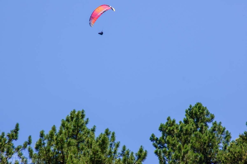 Annecy_Papillon-Paragliding-450.jpg
