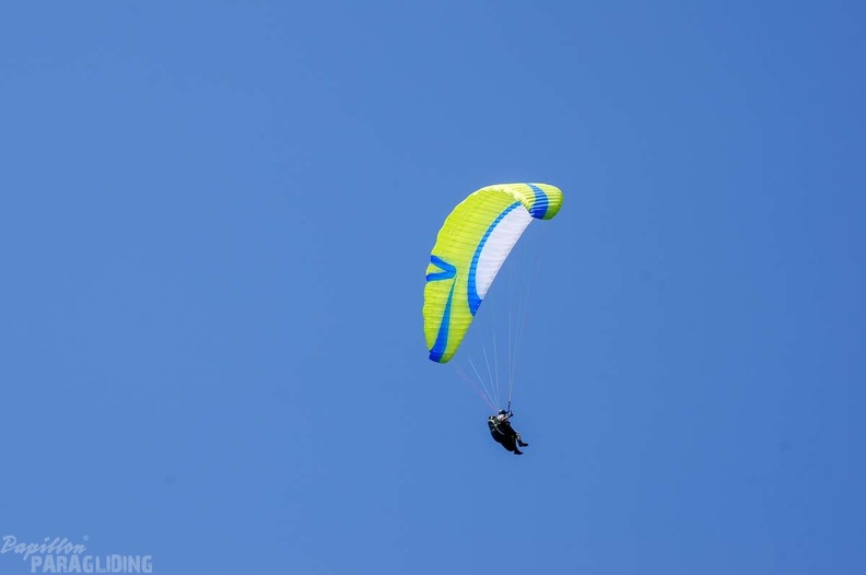 Annecy_Papillon-Paragliding-460.jpg