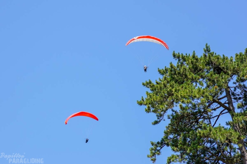 Annecy_Papillon-Paragliding-464.jpg